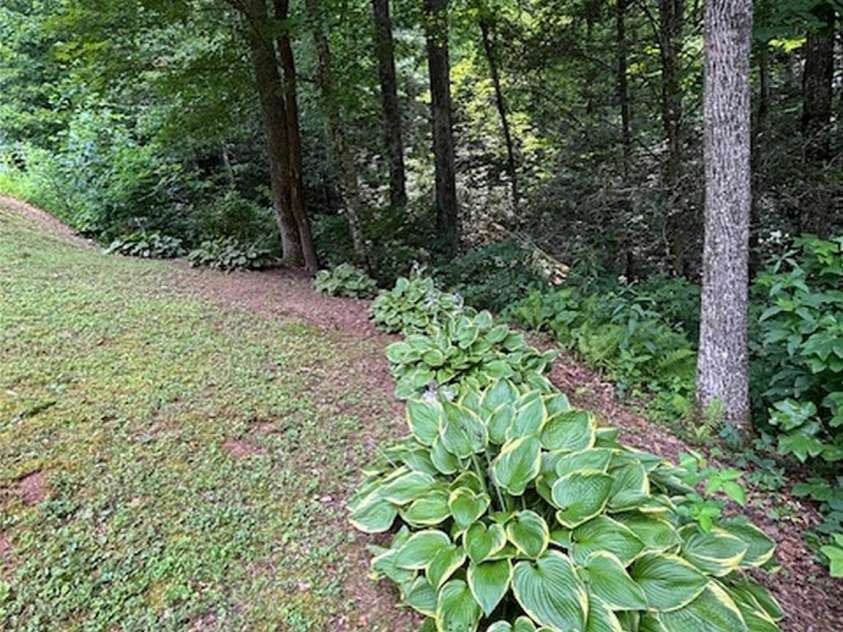 398 Normcol Drive, Pisgah Forest, NC 28768.  MLS# CAR4278329, YatesRealty ID 24923. 