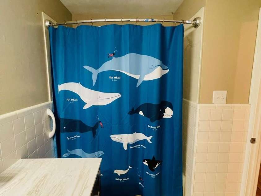 348 Random Drive, New London, NC 28127.  MLS# CAR4369268, YatesRealty ID 24946. Hallway Bath
