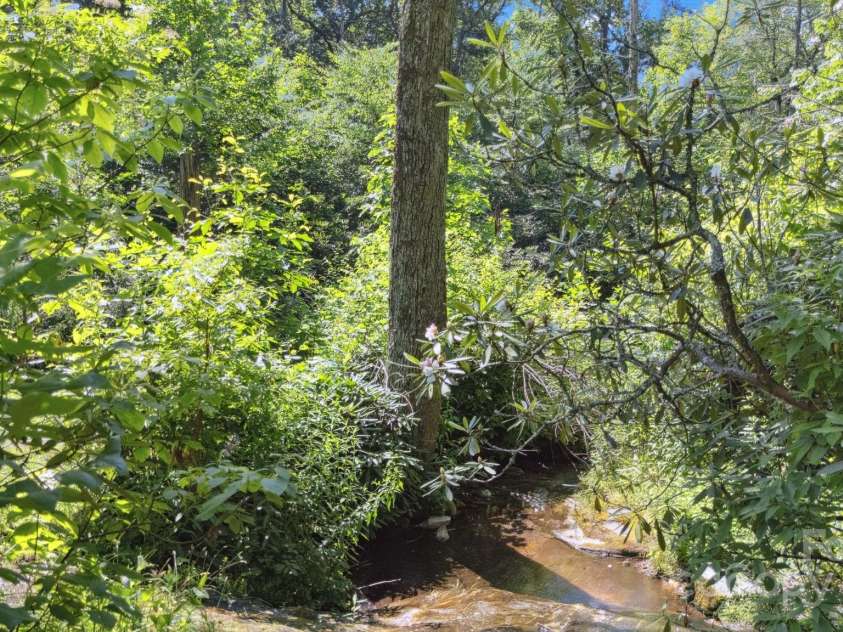 44 Rainbow Road, Highlands, NC 28741.  MLS# CAR4279105, YatesRealty ID 24947. Creek Frontage