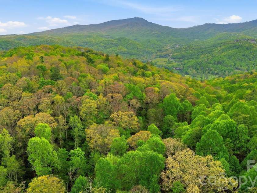 401 Saratoga None, Boone, NC 28607.  MLS# CAR4374691, YatesRealty ID 25047. 