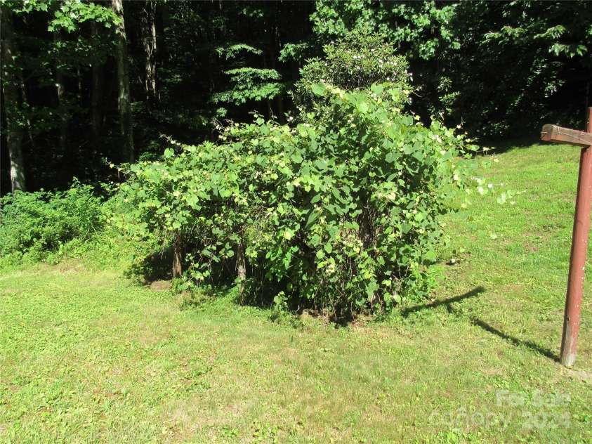 664 Woodfin Road, Sylva, NC 28779.  MLS# CAR4109164, YatesRealty ID 25082. 