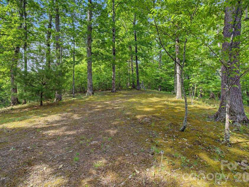 288 Rebel Drive, Hot Springs, NC 28743.  MLS# CAR4377828, YatesRealty ID 25110. Level Land with Open Use 
