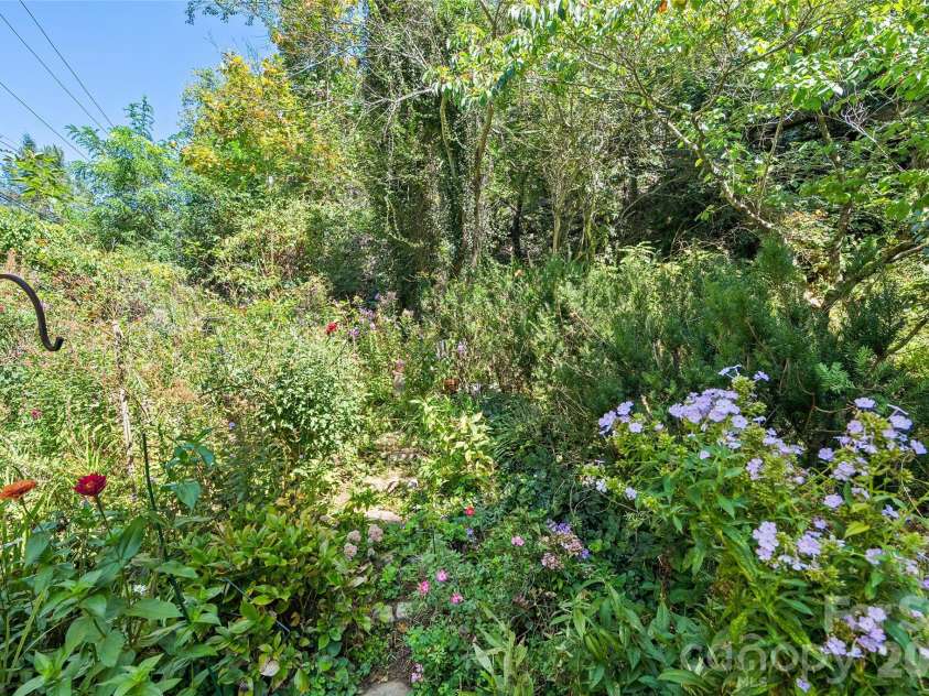 185 Macon Avenue, Asheville, NC 28804.  MLS# CAR4424136, YatesRealty ID 25128. 