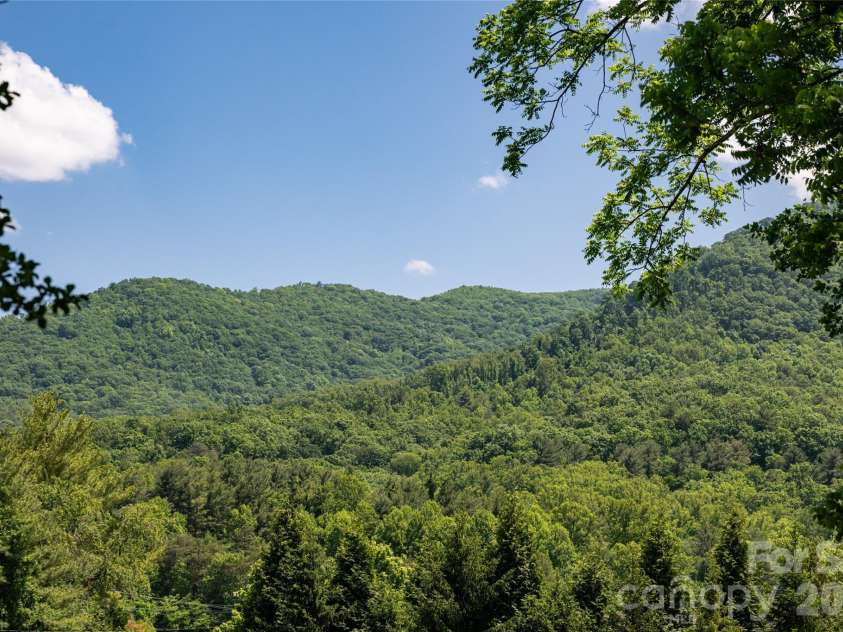 20 Small Mountain Drive, Asheville, NC 28805.  MLS# CAR4376671, YatesRealty ID 25190. 