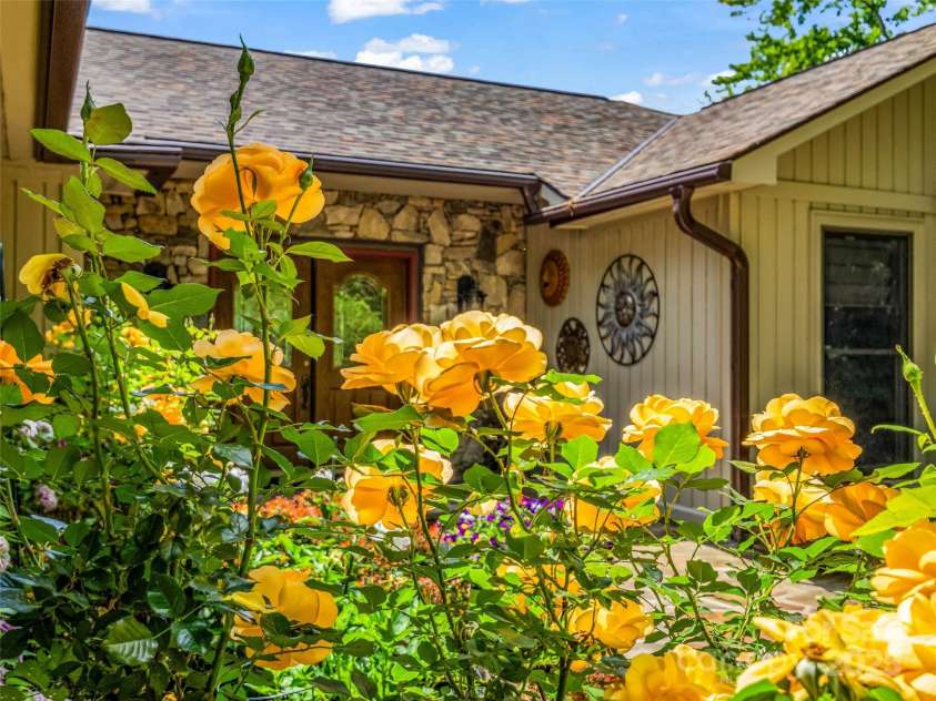 11 Bannerwood Drive, Horse Shoe, NC 28742.  MLS# CAR4257161, YatesRealty ID 25194. Muti rose bushes at front entry