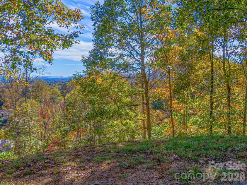 17 Denali Drive, Asheville, NC 28806.  MLS# CAR4358478, YatesRealty ID 25229. 
