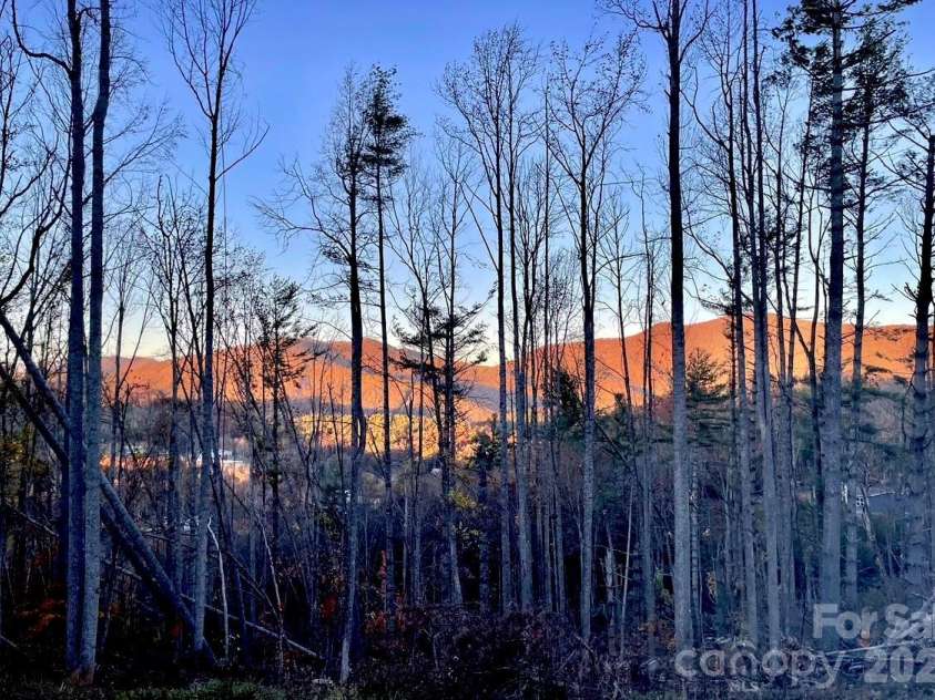 86 Jarrett Drive, Bakersville, NC 28705.  MLS# CAR4386273, YatesRealty ID 25274. 