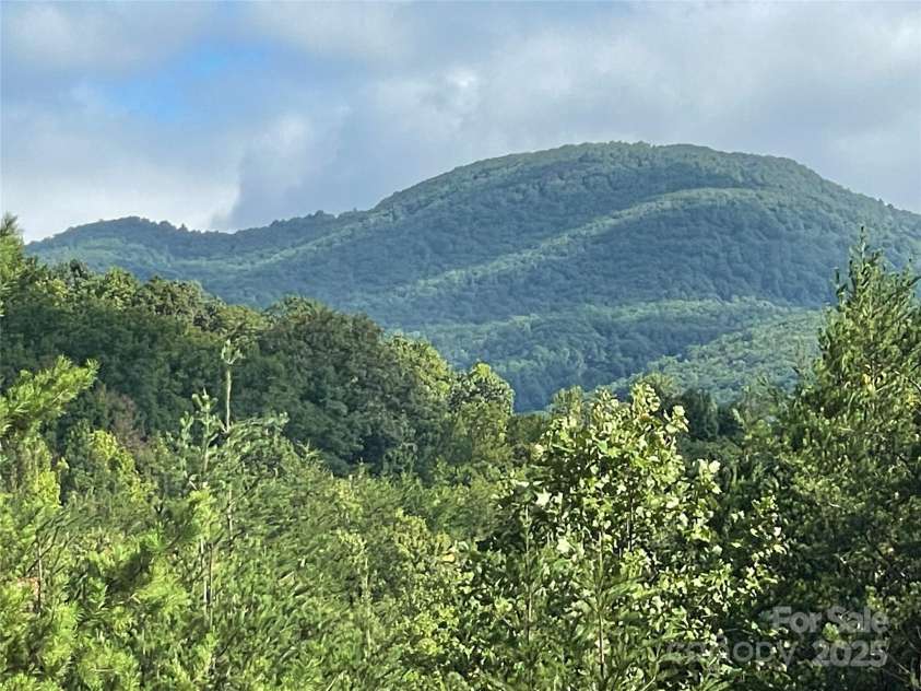 00 Birkdale Drive, Mill Spring, NC 28756.  MLS# CAR4197353, YatesRealty ID 253. 