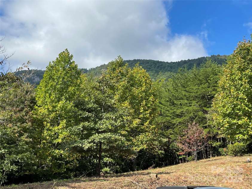 00 Birkdale Drive, Mill Spring, NC 28756.  MLS# CAR4197353, YatesRealty ID 253. 