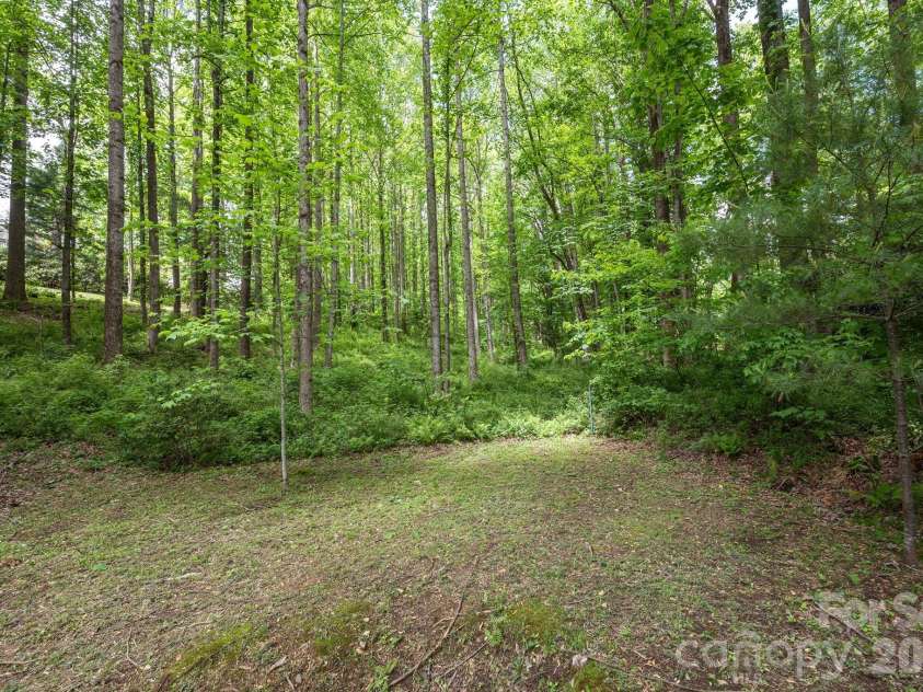 113 CHANCERY Court, Flat Rock, NC 28731.  MLS# CAR4380849, YatesRealty ID 2530. 