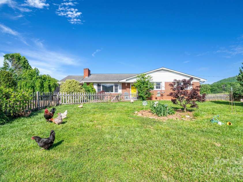 550 Old Newfound Road, Leicester, NC 28748.  MLS# CAR4249093, YatesRealty ID 25367. Chickens!