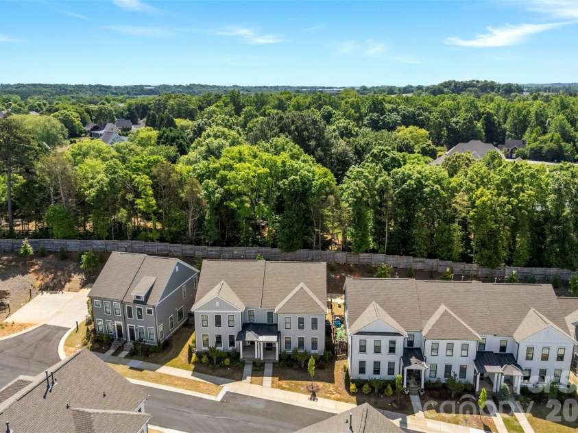 10141 Rainier Trail Drive, Huntersville, NC 28078.  MLS# CAR4375749, YatesRealty ID 25370. The picturesque landscape at the rear of this property features a stunning array of mature trees, creating an idyllic backdrop that offers both exceptional privacy and a tranquil, calming atmosphere for any po