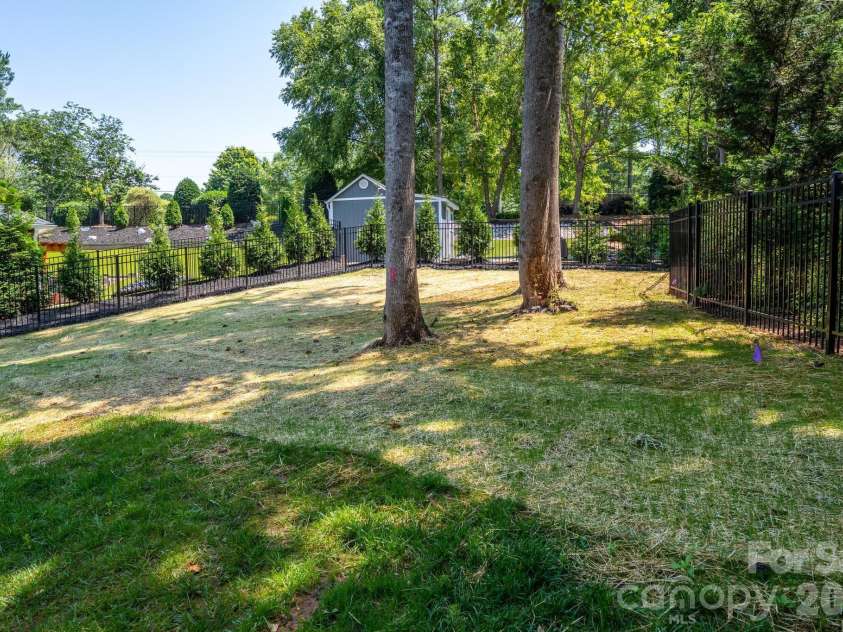 4017 Halyard Drive, Denver, NC 28037.  MLS# CAR4325753, YatesRealty ID 25379. Rapidly growing cedars, even more privacy