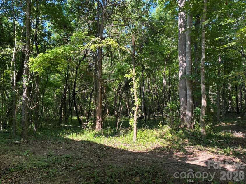 2051 Sutton Spring Road, York, SC 29745.  MLS# CAR4383938, YatesRealty ID 25388. Back yard