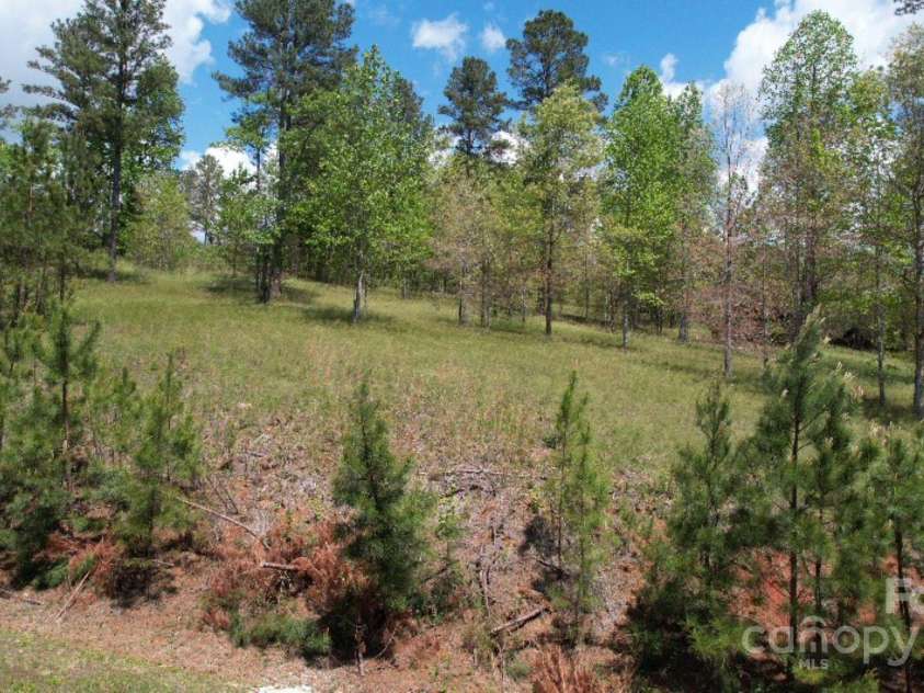 2109 Inlet Shore Road, Connelly Springs, NC 28612.  MLS# CAR4252504, YatesRealty ID 254. 