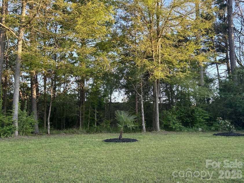 272 Abigail Court, Rock Hill, SC 29730.  MLS# CAR4367439, YatesRealty ID 25447. Backyard wood area