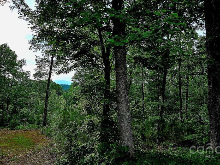 1171 Clark Road, Rutherfordton, NC 28139.  MLS# CAR4263600, YatesRealty ID 25465. 