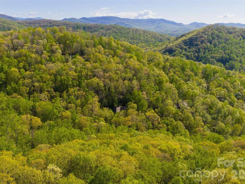 36 Snowshoe Drive, Asheville, NC 28803.  MLS# CAR4415135, YatesRealty ID 25473. 