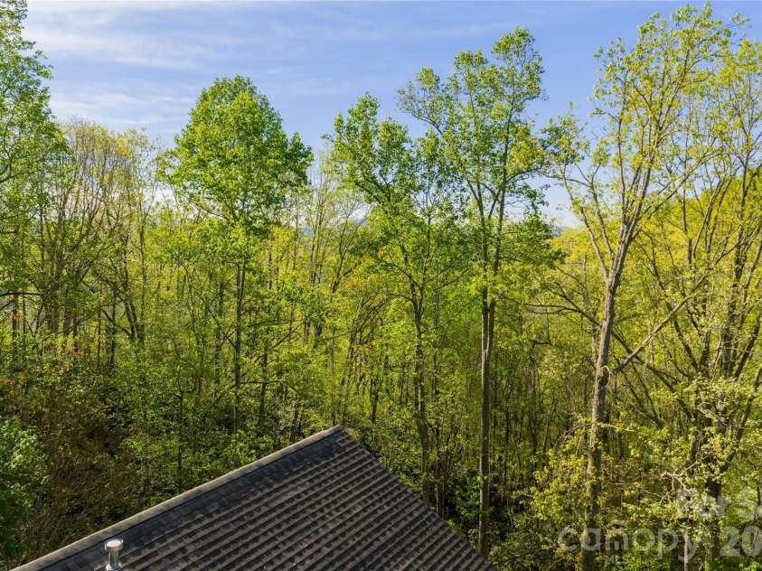 36 Snowshoe Drive, Asheville, NC 28803.  MLS# CAR4415135, YatesRealty ID 25473. 