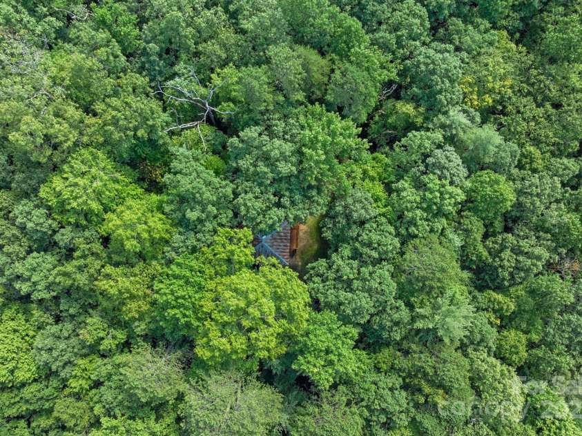 118 Blossom Road, Brevard, NC 28712.  MLS# CAR4289318, YatesRealty ID 255. 