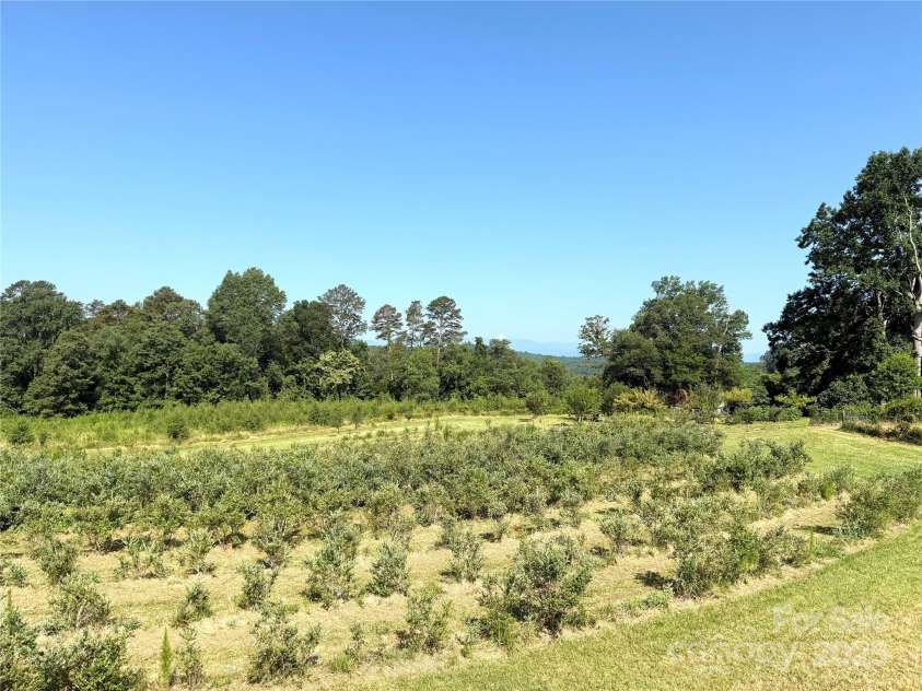 5188 Dysartsville Road, Morganton, NC 28655.  MLS# CAR4270470, YatesRealty ID 25587. Blueberry crops