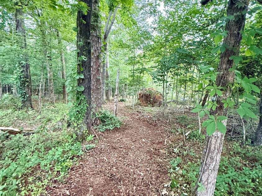 5188 Dysartsville Road, Morganton, NC 28655.  MLS# CAR4270470, YatesRealty ID 25587. Wooded trail