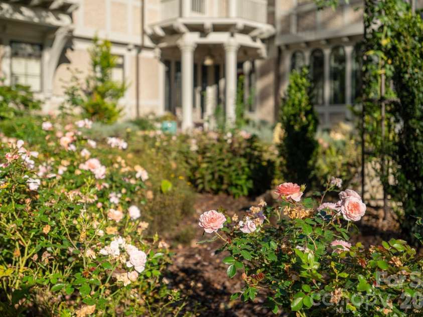 8 Fairway Place, Asheville, NC 28803.  MLS# CAR4245541, YatesRealty ID 2564. Beautiful roses at the front entrance