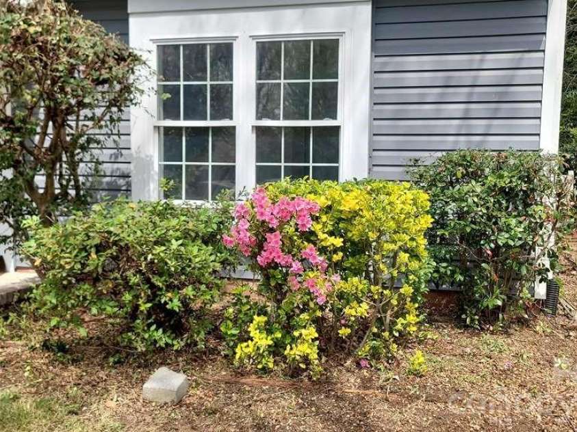 5716 Cassio Court, Charlotte, NC 28227.  MLS# CAR4349332, YatesRealty ID 25657. 