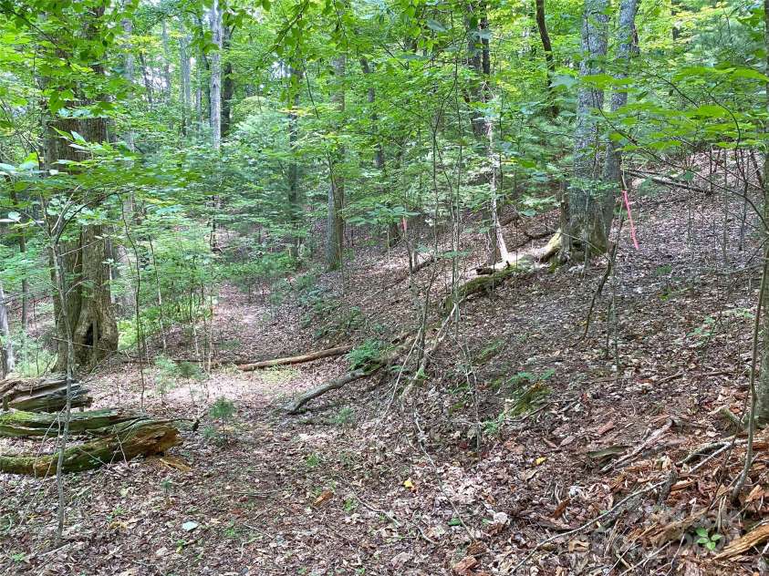 1208 Kanuga Ridge Road, Hendersonville, NC 28739.  MLS# CAR4216501, YatesRealty ID 25667. 