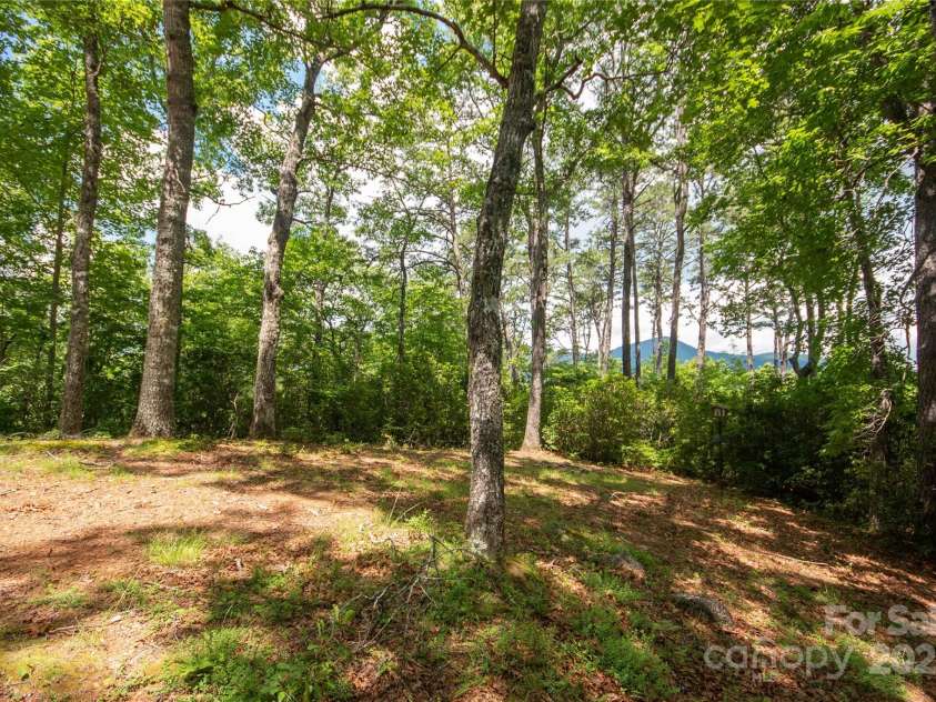 585 Bonfire Drive, Franklin, NC 28734.  MLS# CAR4276894, YatesRealty ID 25679. 