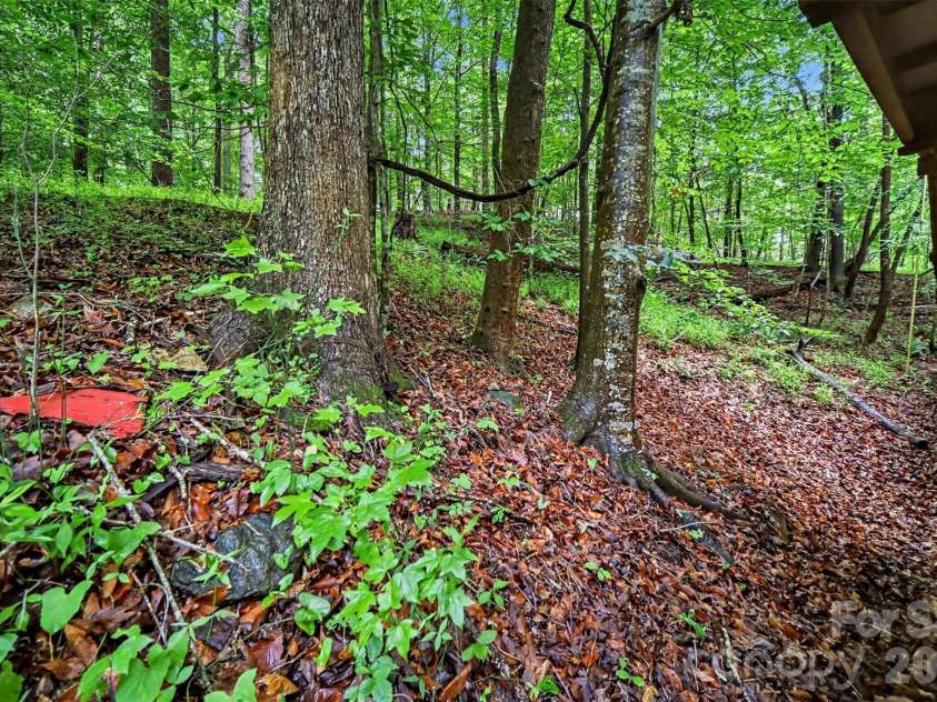 260 Cherrywood Lane, Sharon, SC 29742.  MLS# CAR4383305, YatesRealty ID 25686. 