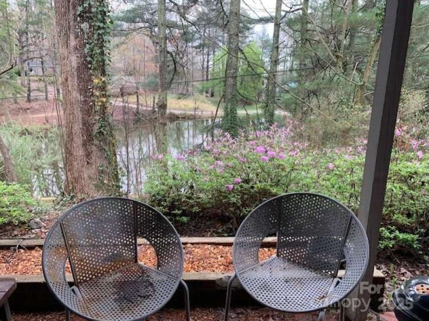 101 LAKEMONT Drive, Flat Rock, NC 28731.  MLS# CAR4246456, YatesRealty ID 257. From the Lower Patio, grill and enjoy LIFE