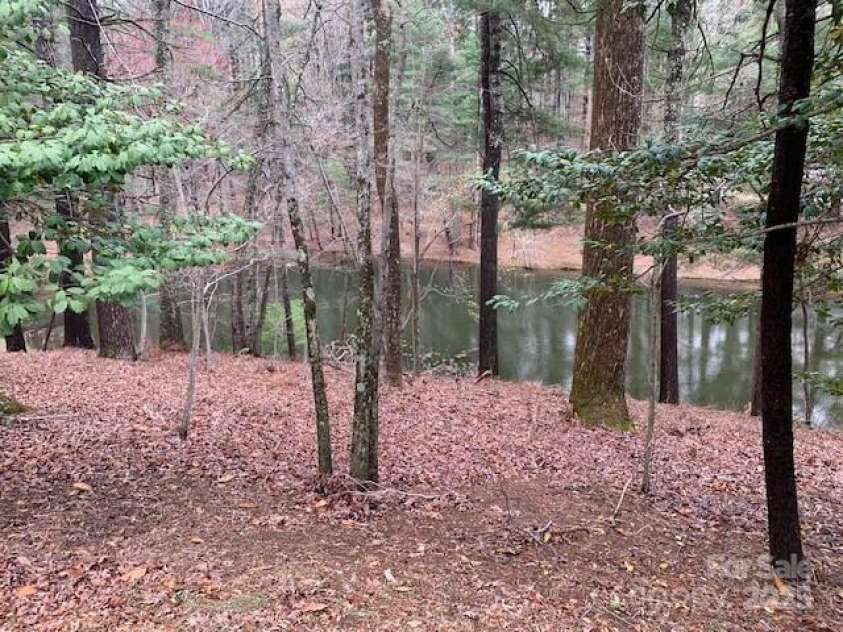 101 LAKEMONT Drive, Flat Rock, NC 28731.  MLS# CAR4246456, YatesRealty ID 257. NATURE ... OK you can own this, be thankfull