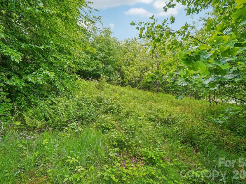 434 Dovers Branch Road, Burnsville, NC 28714.  MLS# CAR4386043, YatesRealty ID 25720. 