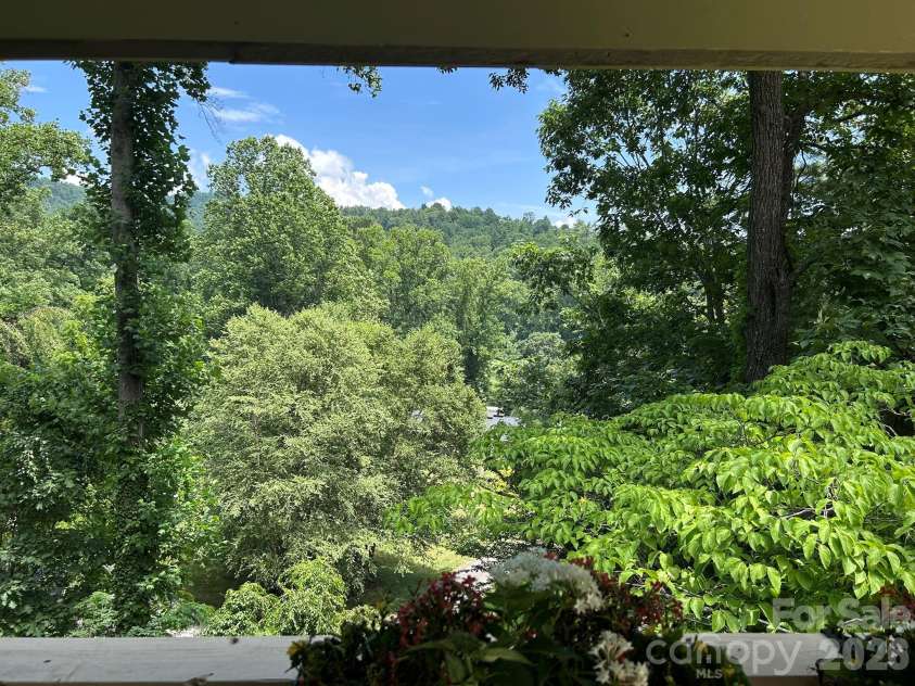 22 Robinhood Road, Asheville, NC 28804.  MLS# CAR4380317, YatesRealty ID 25778. Mountain View Available Year Round