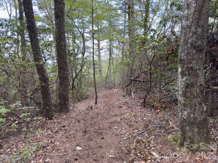 1971 Swiss Pine Lake Drive, Spruce Pine, NC 28777.  MLS# CAR4386053, YatesRealty ID 25787. The cleared path