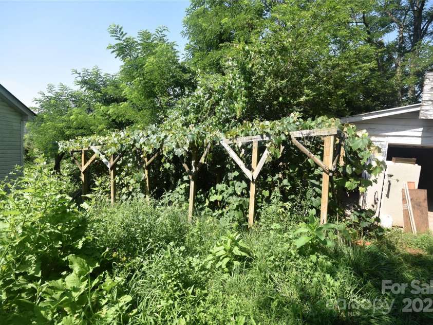 161 Pandora Circle, Canton, NC 28716.  MLS# CAR4274154, YatesRealty ID 25806. Beautiful Grapevine in the backyard