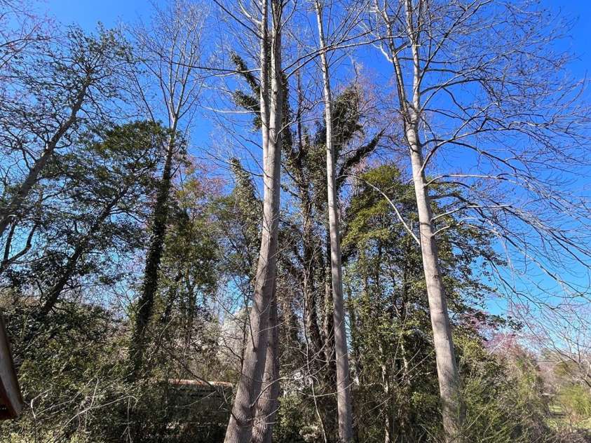 3232 Wilson Heights Drive, Hildebran, NC 28637.  MLS# CAR4237035, YatesRealty ID 2581. 