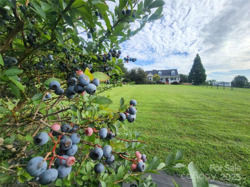 5258 Bandys Cross Road, Catawba, NC 28609.  MLS# CAR4260982, YatesRealty ID 25836. 