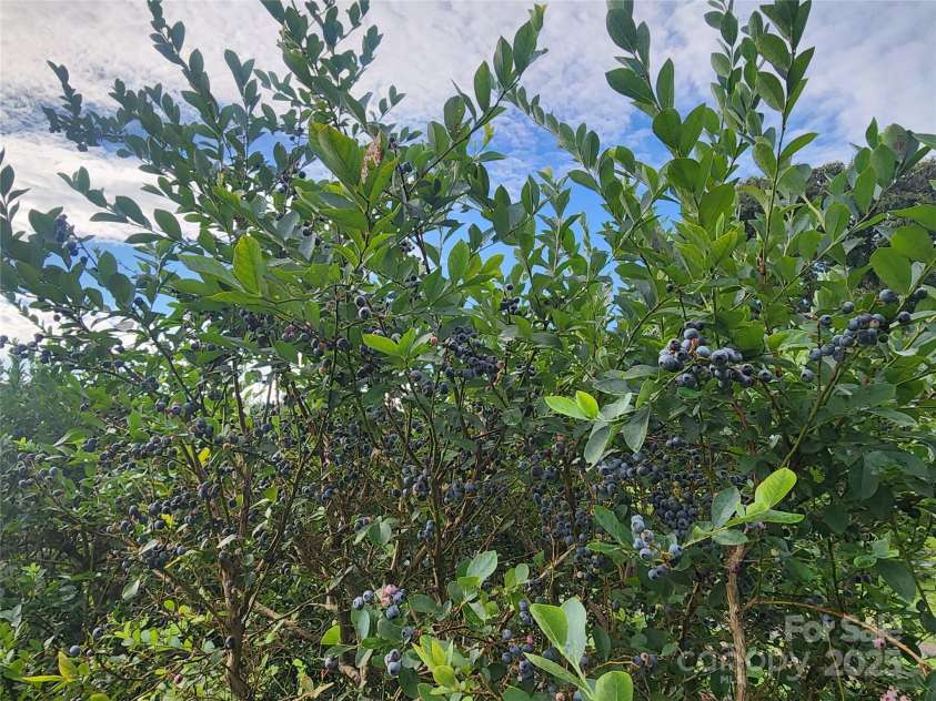 5258 Bandys Cross Road, Catawba, NC 28609.  MLS# CAR4260982, YatesRealty ID 25836. 