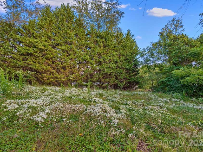 163 Pisgah View Road, Asheville, NC 28806.  MLS# CAR4294494, YatesRealty ID 2584. Plenty of room to play, build or garden!