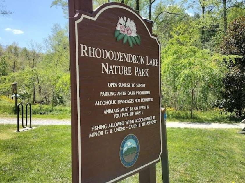 33 Lake Drive, Hendersonville, NC 28739.  MLS# CAR4327825, YatesRealty ID 2586. 