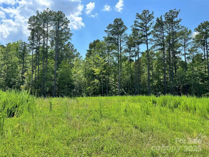 1418 Samuel Spencer Parkway, Davidson, NC 28036.  MLS# CAR4273542, YatesRealty ID 259. Large Lot backs up to the woods!