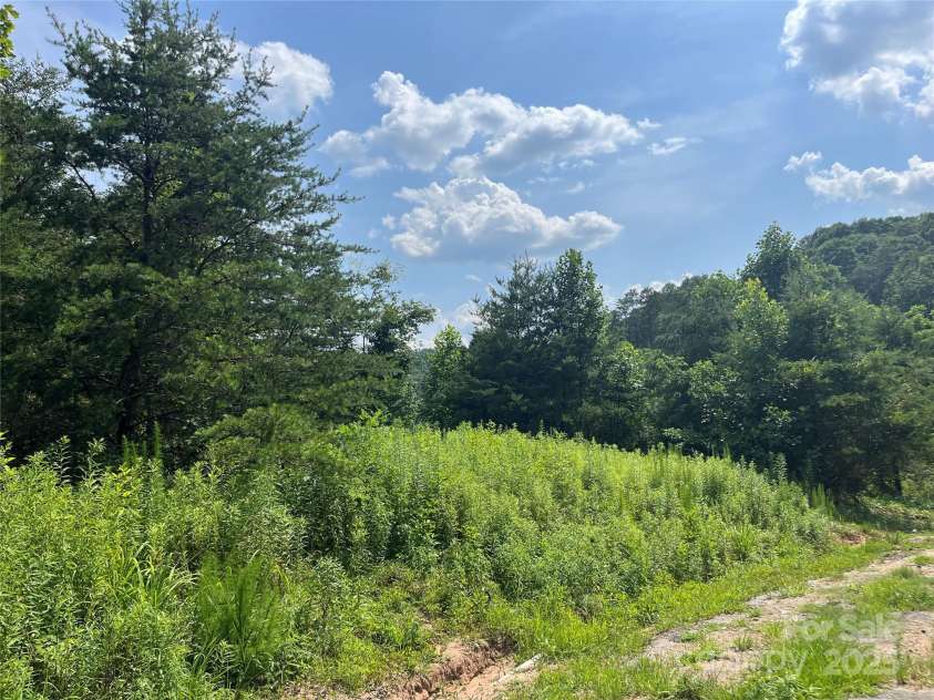 184 Crawford Hollow, Rutherfordton, NC 28139.  MLS# CAR4280325, YatesRealty ID 25951. 