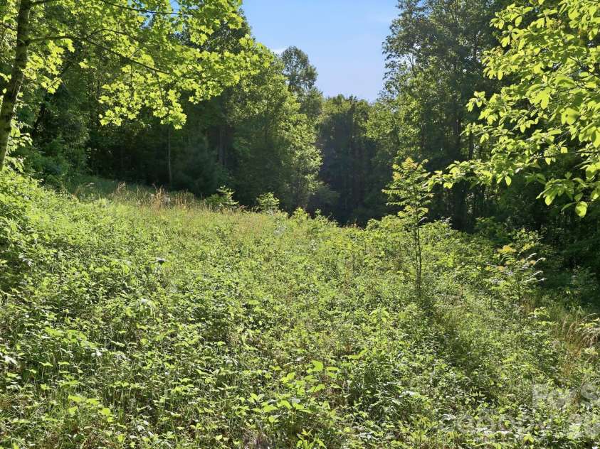 98 Sparkling Springs Road, Fairview, NC 28730.  MLS# CAR4376359, YatesRealty ID 25953. Second Potential Homesite