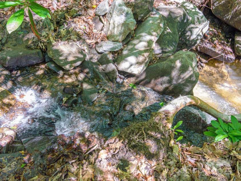 62 Sharp Road, Black Mountain, NC 28711.  MLS# CAR4277339, YatesRealty ID 25964. 