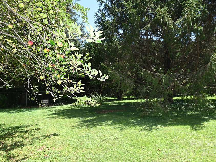 209 Northwood Drive, Morganton, NC 28655.  MLS# CAR4280216, YatesRealty ID 25981. Apple tree in the rear yard