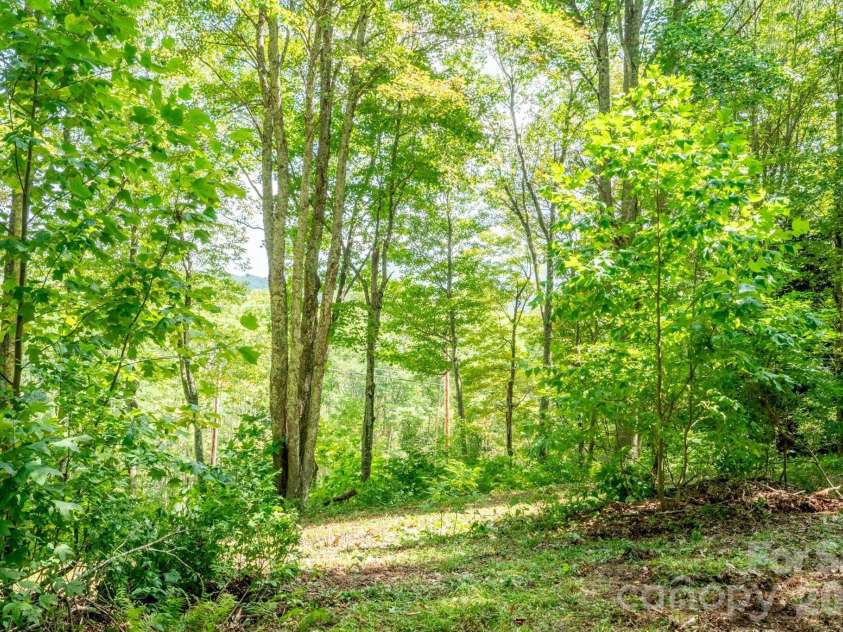 2777 Hickory Nut Gap Road, Newland, NC 28657.  MLS# CAR4281562, YatesRealty ID 25997. 