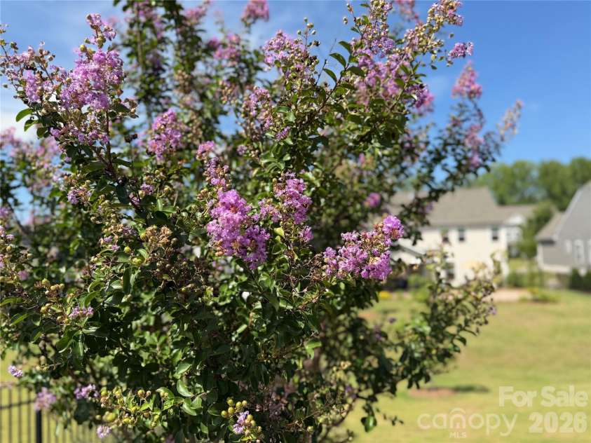 5339 Pembrey Drive, Denver, NC 28037.  MLS# CAR4373212, YatesRealty ID 26007. 