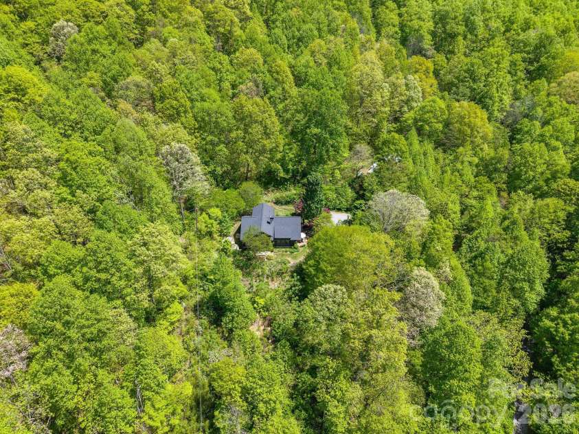 144 Pegg Road, Barnardsville, NC 28709.  MLS# CAR4374425, YatesRealty ID 26033. Surrounded by Nature